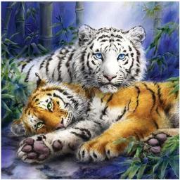 Tigers.jpg