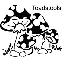 toadstools.jpg